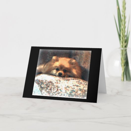 Pomeranian Notecard Kaart (Voorkant)