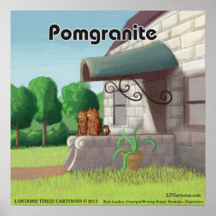 Pomeranian Op Graniet (PomGranite) Grappige Poster