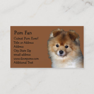 Pomeranian Photo Visitekaartje