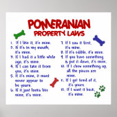 POMERANIAN PL2 POSTER (Voorkant)