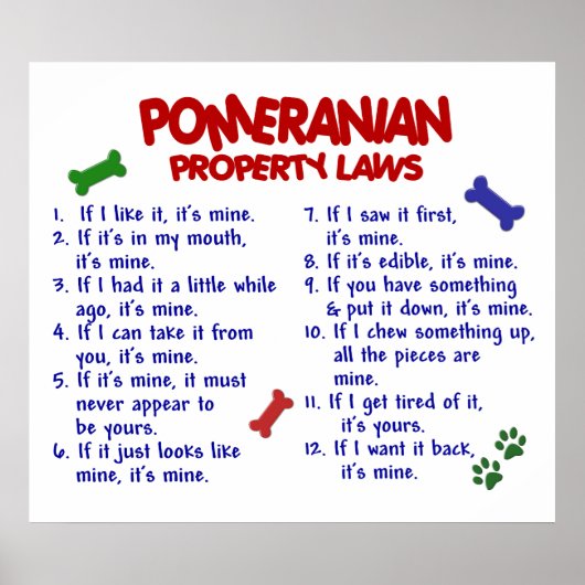 POMERANIAN PL2 POSTER (Voorkant)