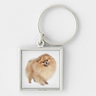 Pomeranian Pom Pom Puppies Hond Sleutelhanger