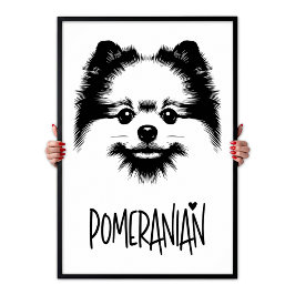 Pomeranian Pop Art Black & White Chic Aesthetic Poster