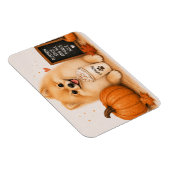 Pomeranian Pumpkin Spice Magneet (Rechterzijde)