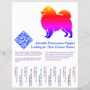 Pomeranian Puppies Flyer