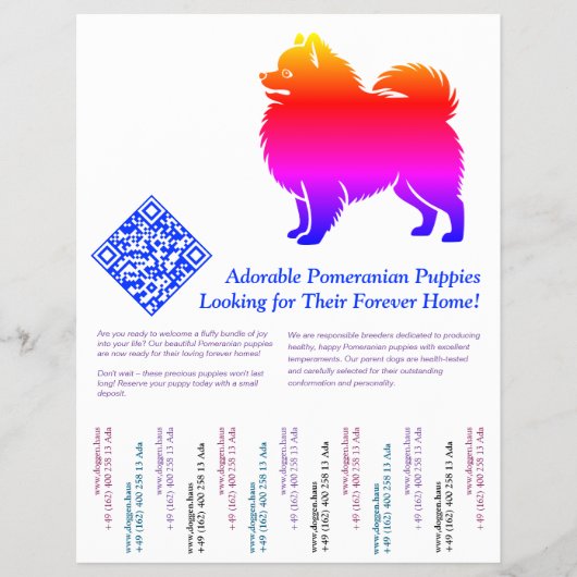 Pomeranian Puppies  Flyer (Voorkant)