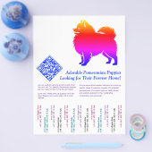 Pomeranian Puppies  Flyer (Enkel)