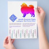 Pomeranian Puppies  Flyer (Hand)