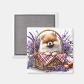 Pomeranian Puppy Dog Waterverf Wildflower Picknick Magneet (Voorkant / Achterkant)