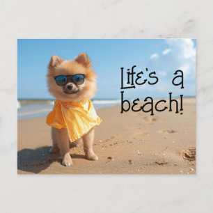 Pomeranian Puppy dragen zonnebril briefkaart