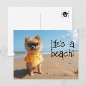 Pomeranian Puppy dragen zonnebril briefkaart (Voorkant / Achterkant)