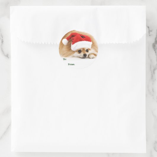 Pomeranian Puppy Gift Labels (Tas)