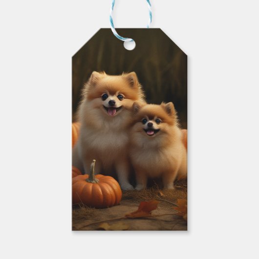 Pomeranian Puppy Herfstvreugde Pompoen Cadeaulabel (Voorkant)