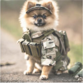 Pomeranian Puppy Klaar voor dienst Sticker (Voorkant)