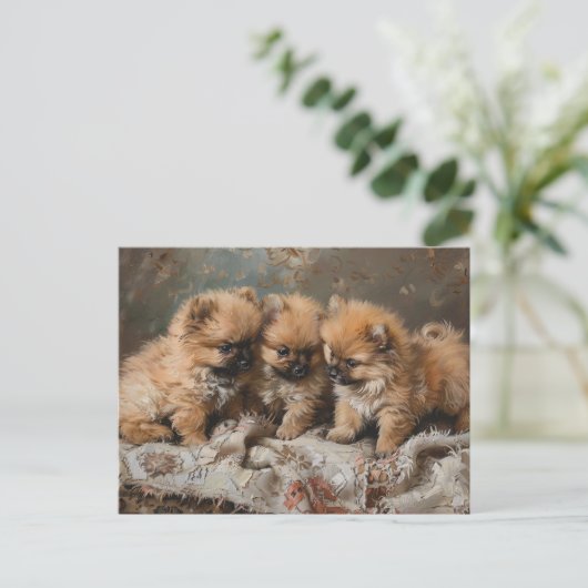 Pomeranian Puppy Trio  Briefkaart (Staand voorkant)