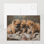 Pomeranian Puppy Trio  Briefkaart (Voorkant / Achterkant)