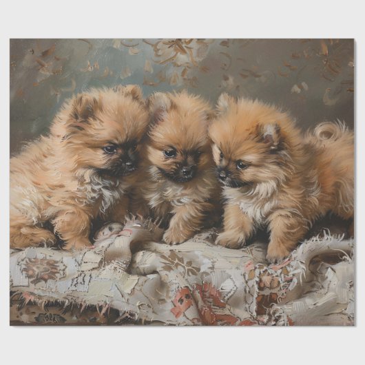 Pomeranian Puppy Trio  Decoupage Cadeaupapier (Vlak)