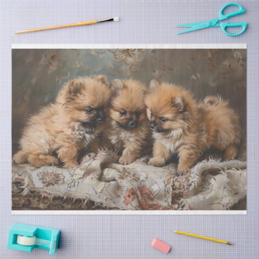 Pomeranian Puppy Trio Decoupage Tissuepapier (Craft)