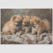 Pomeranian Puppy Trio Decoupage Tissuepapier (Voorkant)