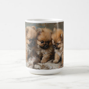 Pomeranian Puppy Trio  Koffiemok