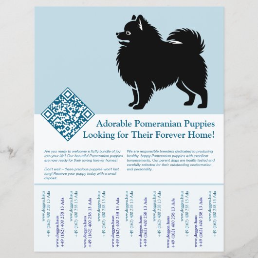 Pomeranian Puppy's  Flyer (Voorkant)