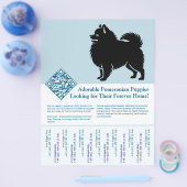 Pomeranian Puppy's  Flyer (Enkel)