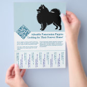 Pomeranian Puppy's  Flyer (Hand)