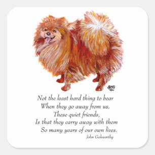 Pomeranian Regenboogbrug Vierkante Sticker