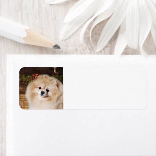Pomeranian Return Address Labels (Insitu)