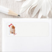 Pomeranian Return Address Labels (Insitu)