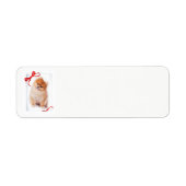 Pomeranian Return Address Labels (Voorkant)