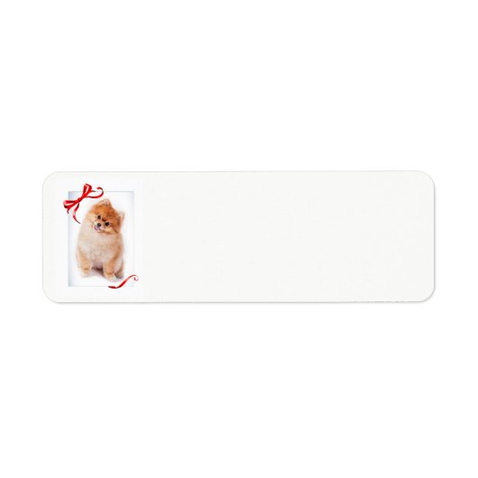 Pomeranian Return Address Labels (Voorkant)
