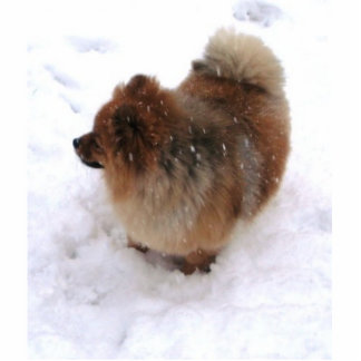 POMERANIAN SCULPTURE MAGNET FOTOBEELDJE MAGNEET