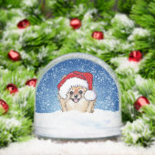 Pomeranian Sneeuwbol (Kerstmis)