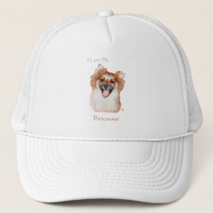 Pomeranian Trucker Pet