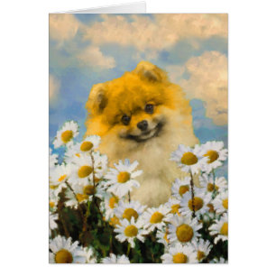 Pomeranian tussen Madeliefjes Schilderij - Origine