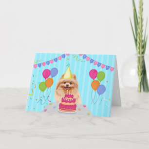 Pomeranian verjaardagsvakantiekaart kaart