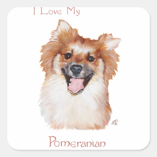 Pomeranian Vierkante Sticker (Voorkant)