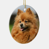 Pomeranian Watching Keramisch Ornament (Rechts)