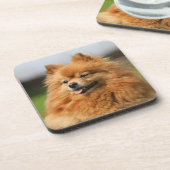 Pomeranian Watching Onderzetter (Linkerzijde)