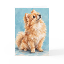 Pomeranian Wenskaart