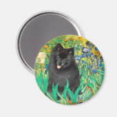 Pomeranian (zwart) - Irissen Magneet (Voorkant / Achterkant)