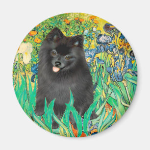 Pomeranian (zwart) - Irissen Magneet