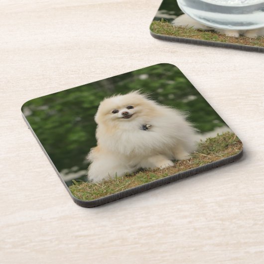 Pomeraningsvergadering Bier Onderzetter (Linkerzijde)