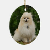 Pomeraningsvergadering Keramisch Ornament (Rechts)