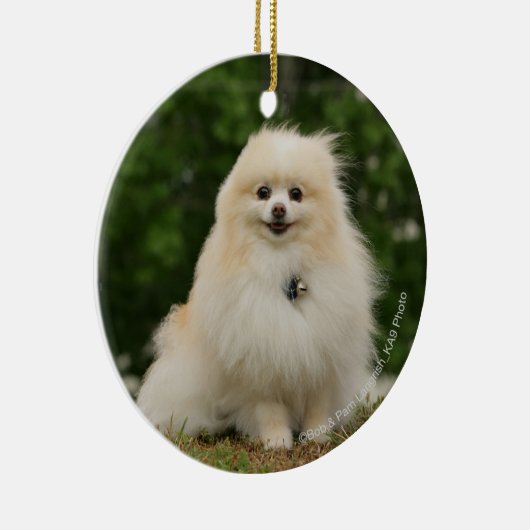 Pomeraningsvergadering Keramisch Ornament (Rechts)