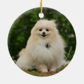 Pomeraningsvergadering Keramisch Ornament (Achterkant)