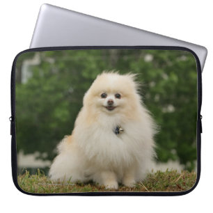 Pomeraningsvergadering Laptop Sleeve