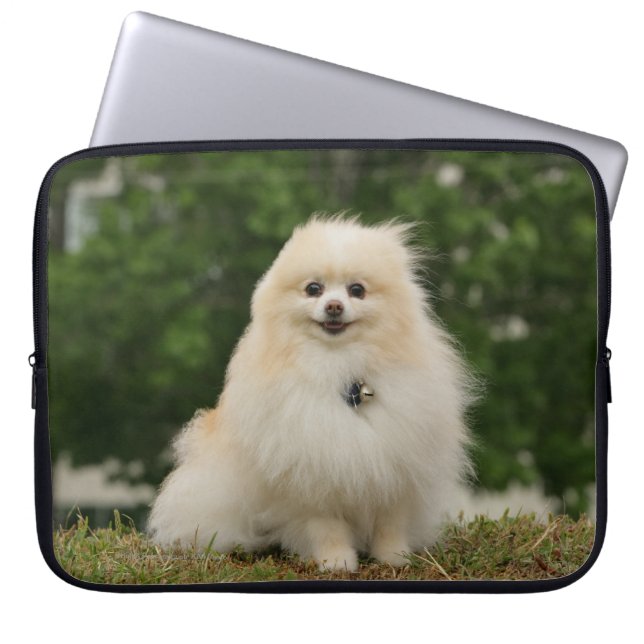 Pomeraningsvergadering Laptop Sleeve (Voorkant)