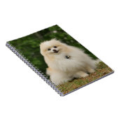 Pomeraningsvergadering Notitieboek (Rechterzijde)